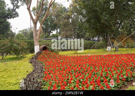 Hanoï, Vietnam, janvier 2023. Thăng long Citadelle impériale, vue panoramique sur les jardins intérieurs Banque D'Images