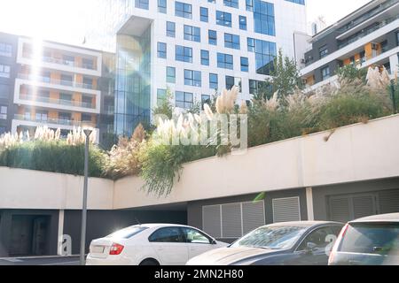 Bâtiments modernes en verre avec jardins en terrasse. Banque D'Images