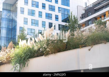 Bâtiments modernes en verre avec jardins en terrasse. Banque D'Images