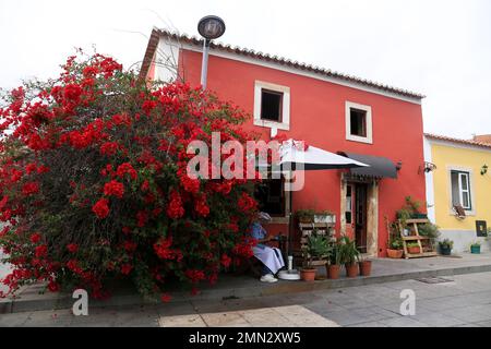 Queluz, Lisbonne, Portugal- 21 novembre 2022 : façade colorée avec bougainvilliers géant d'un petit restaurant italien à Queluz Banque D'Images