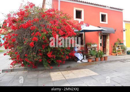 Queluz, Lisbonne, Portugal- 21 novembre 2022 : façade colorée avec bougainvilliers géant d'un petit restaurant italien à Queluz Banque D'Images