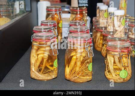 11 août 2019. Istra, région de Moscou. Salon du fromage et des produits agricoles. Racine médicinale conservée dans un pot en verre. Remèdes populaires pour combattre les maladies Banque D'Images