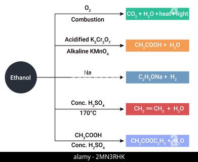 L'éthanol est un combustible renouvelable fabriqué à partir de maïs et d'autres matériaux végétaux. Illustration de Vecteur