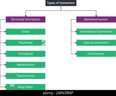 Types d'isomérisme : isomérisme structural et Stereoisomérisme. Illustration de Vecteur