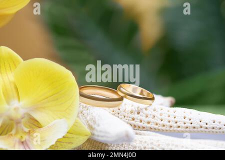 Mariage d'anneaux d'or sur l'étoile de mer blanche avec orchidée jaune. Palmier derrière. Cérémonie de concept dans les pays tropicaux chauds, newlyweds, juste marié, Valent Banque D'Images