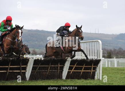 Course huit, la Ballymore novices haies course. Sortie de Tom Cannon sur le premier circuit Horse Racing à Cheltenham Racecourse, Prestbury Banque D'Images