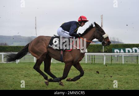 Course huit, la Ballymore novices haies course. Dr Brown Bear monté par J J Slevin sur le premier circuit Horse Racing à Cheltenham Racecourse, Banque D'Images