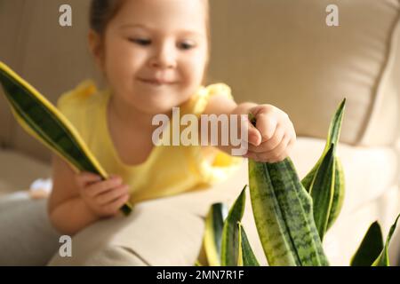 Petite fille brisant la maison à la maison, à proximité Banque D'Images