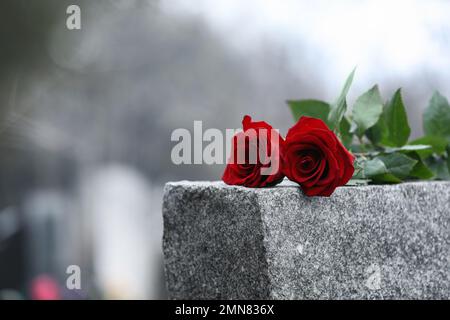 Roses rouges sur pierre tombale en granit gris à l'extérieur. Cérémonie funéraire Banque D'Images