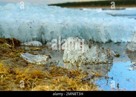 Les restes de la dernière glace printanière sur la rivière fondent près de la rive. Banque D'Images