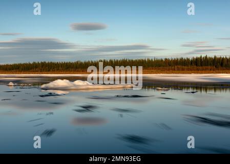 Le mouvement de l'écoulement de l'eau avec de la glace sur la dérive de glace de la rivière Vilyui du nord à Yakutia avec la toile de fond de la forêt pendant la journée. Banque D'Images