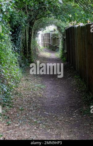 Sentier de Framlingham Suffolk, entouré de verdure, qui est à la fois enbeckoning et mystérieux Banque D'Images