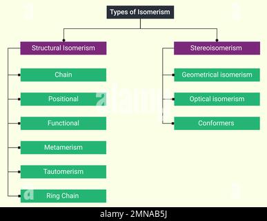 Types d'isomérisme : isomérisme structural et Stereoisomérisme Illustration de Vecteur