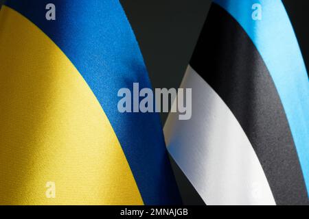 Près des drapeaux de l'Ukraine et de l'Estonie. Banque D'Images