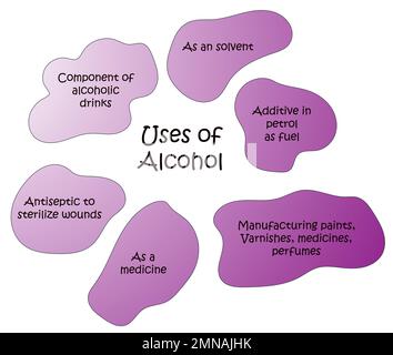 Utilisations de l'alcool : boissons alcoolisées, éthanol comme solvant, méthanol comme combustible. Illustration de Vecteur