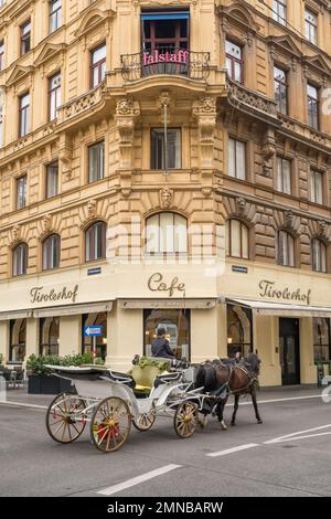 Calèche traditionnel à Vienne, Autriche. Banque D'Images