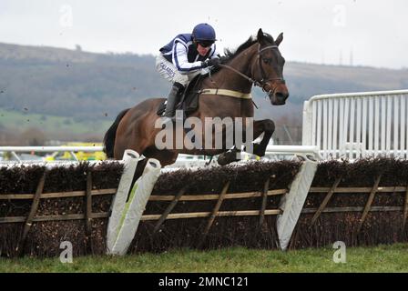 Course huit, la Ballymore novices haies course. Moka de Vassy, monté par David Noonan, saute la dernière course de chevaux à Cheltenham Racecourse, Prestbu Banque D'Images