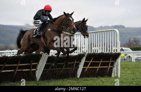 Course huit, la Ballymore novices haies course. En sortant, Tom Cannon saute la dernière course hippique à Cheltenham Racecourse, Prestbury Park Banque D'Images