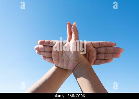 les mains de la femme faisant signe colombe avec ses mains contre le ciel bleu Banque D'Images