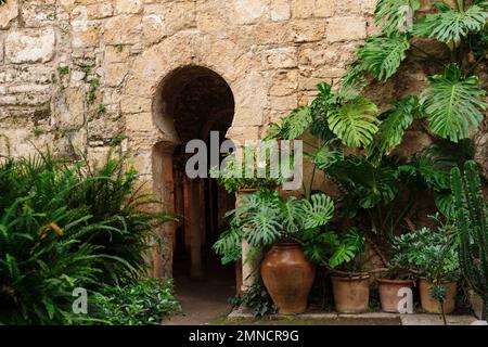 baños árabes, - Banys Àrabs - portail de arco de herradura , siglo X, Palma, Majorque, islas baleares, españa, europa Banque D'Images