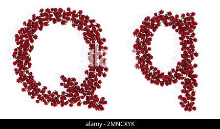 Concept ou ensemble conceptuel de superbes bouquets roses rouges en fleurs formant la police Q. 3D métaphore d'illustration pour l'éducation, le design et la décoration, Banque D'Images