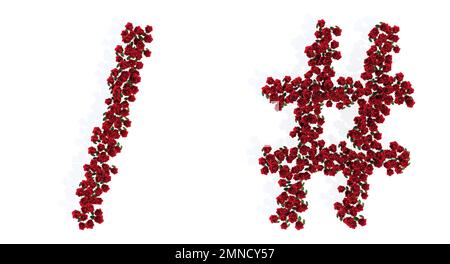 Concept ou ensemble conceptuel de belles roses rouges florantes bouquets formant la barre oblique de division et # signes. 3d métaphore de l'illustration pour l'éducation, des Banque D'Images