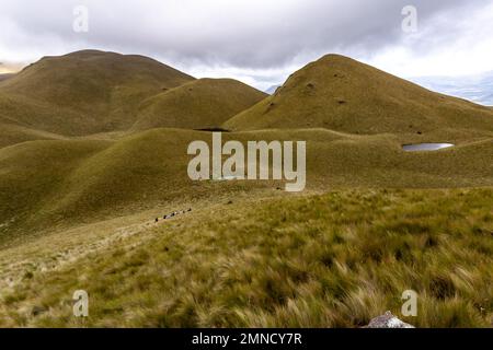 Paramos, rochers, pics, lagons et paysages du volcan Warmi Imbabura Banque D'Images