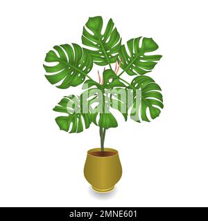 La jungle végétale tropicale de Philodendron laisse naturel dans pot sur fond blanc illustration vectorielle modifiable main dessinée Illustration de Vecteur