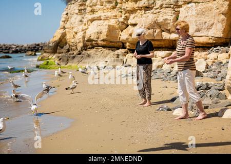 Deux femmes âgées en lunettes de soleil noires nourrissant des mouettes sur la plage rocheuse Banque D'Images