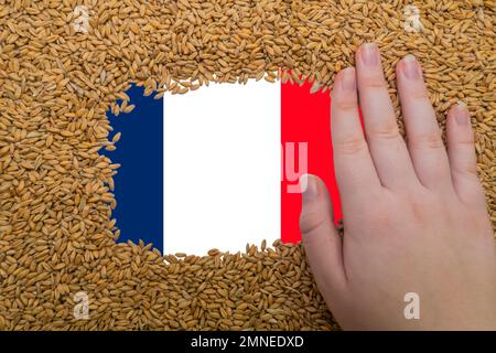 Main de femme sur un cadre rectangulaire de grains mûrs de blé sur fond de drapeau de France. Le plus grand exportateur de grain au monde Banque D'Images