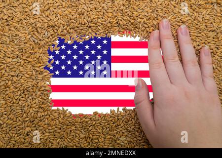 Main de femme sur un cadre rectangulaire de grains mûrs de blé sur le fond du drapeau des Etats-Unis. Le plus grand exportateur de grain au monde Banque D'Images