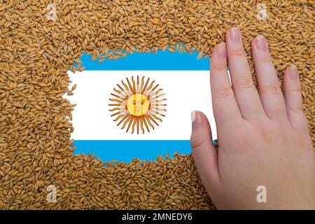 Main de femme sur un cadre rectangulaire de grains mûrs de blé sur le fond du drapeau de l'Argentine. Le plus grand exportateur de grain au monde Banque D'Images