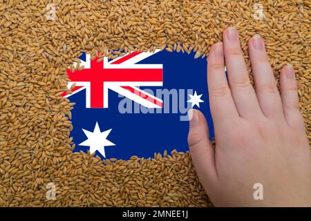 Main de femme sur un cadre rectangulaire de grains mûrs de blé sur le fond du drapeau de l'Australie. Le plus grand exportateur de grain au monde Banque D'Images