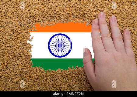 Une main de femme sur un cadre rectangulaire de grains mûrs de blé sur le fond du drapeau de l'Inde. Le plus grand exportateur de grain au monde Banque D'Images