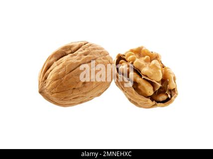 Noyer isolé. Noix pelées et non pelées sur blanc. Banque D'Images