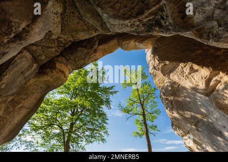 Vue depuis le bassin de cowshed, les montagnes de grès d'Elbe, le parc national de la Suisse saxonne, la Saxe, l'Allemagne Banque D'Images