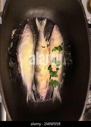 Trois poissons frais dans une casserole, avec chapelure, préparant la truite pour le dîner Banque D'Images