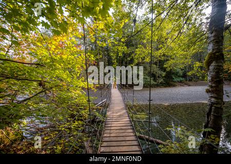 Randonneurs sur le pont suspendu dans la forêt automnale, Grove of the Patriarches Trail, parc national du Mont Rainier, Washington, États-Unis Banque D'Images