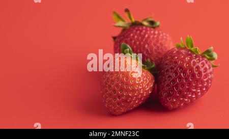 vue de face trois fraises avec espace de copie. Résolution et superbe photo de haute qualité Banque D'Images