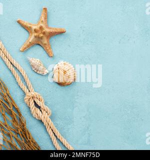 coques starfish avec espace de copie. Photo haute résolution Banque D'Images