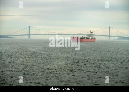 Pont Verrazzano-Narrows, New York, États-Unis Banque D'Images