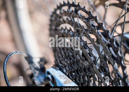 Cassette de vitesse différente sur une roue arrière d'un vélo tout terrain Banque D'Images