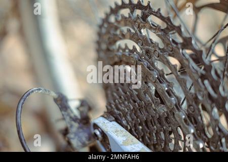 Cassette de vitesse différente sur une roue arrière d'un vélo tout terrain Banque D'Images