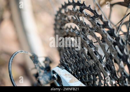 Cassette de vitesse différente sur une roue arrière d'un vélo tout terrain Banque D'Images