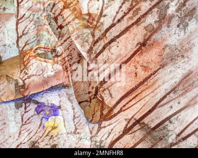 Ballet Shoes, pointe Shoes Creative, photo de Katharina Hild, peinture, médias mixtes, Allemagne Banque D'Images