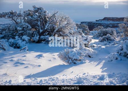 Parfois, les tempêtes de neige déneigent beaucoup de neige dans le parc national de Canyonlands en Utah, créant un paysage magique. Banque D'Images