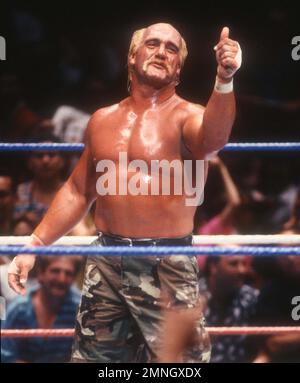 **PHOTO DE FICHIER** Hulk Hogan ne semble pas pouvoir sentir le corps inférieur après la chirurgie du dos. Hulk Hogan 1990 photo de John Barrett/PHOTOlink/MediaPunch Banque D'Images