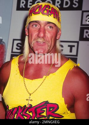 **PHOTO DE FICHIER** Hulk Hogan ne semble pas pouvoir sentir le corps inférieur après la chirurgie du dos. Hulk Hogan 1995 par John Barrett/PHOTOlink/MediaPunch Banque D'Images