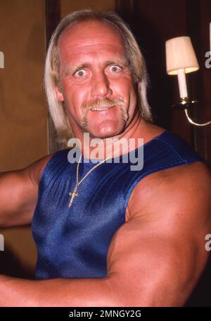 **PHOTO DE FICHIER** Hulk Hogan ne semble pas pouvoir sentir le corps inférieur après la chirurgie du dos. Hulk Hogan 1985 crédit: Ralph Dominguez/MediaPunch Banque D'Images