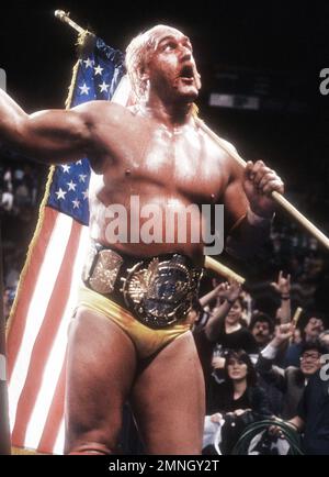 **PHOTO DE FICHIER** Hulk Hogan ne semble pas pouvoir sentir le corps inférieur après la chirurgie du dos. Hulk Hogan 1990 photo de John Barrett/PHOTOlink.net /MediaPunch Banque D'Images